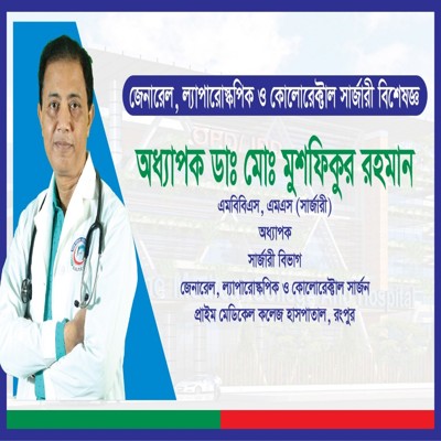Dr. Mohammad Mushfiqur Rahman - Professor