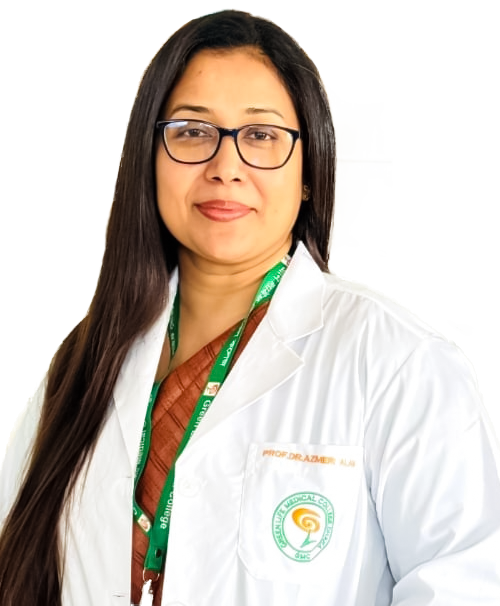 Prof. Dr. Azmeri Alam
