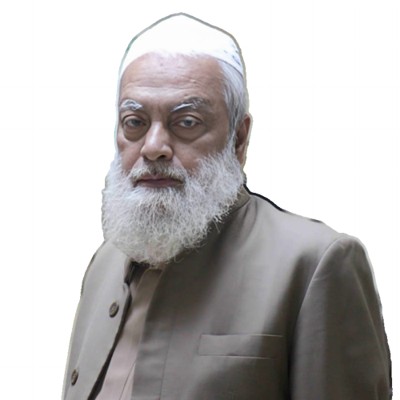 Dr. Prof. Dr. Johurul Haque - Professor