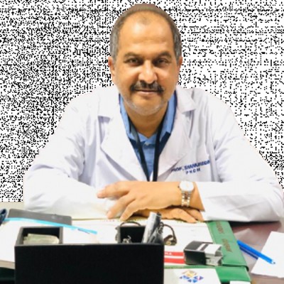 Prof. Dr. Muhammad Shahabuddin