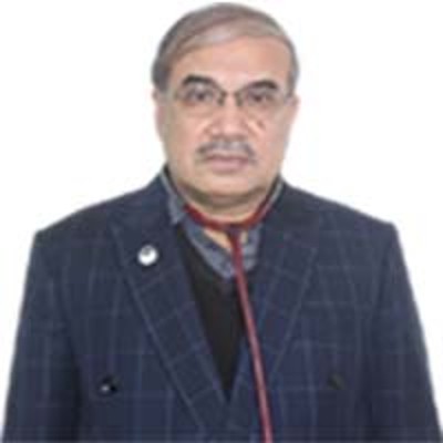 Professor Dr. A.H. M. Feroz