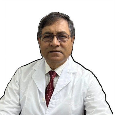 Professor Dr. M A Hamid