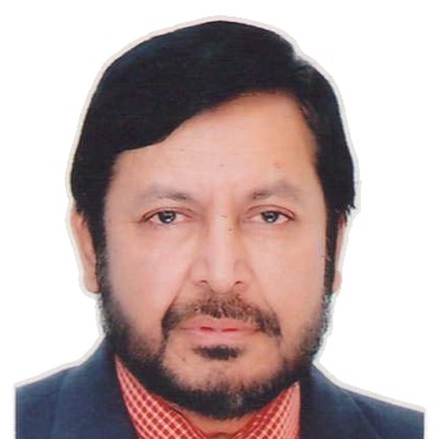 Professor Dr. Mohammad Alauddin Sheikh