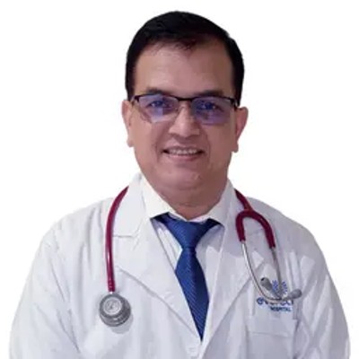 Professor Dr Shaikh Md Hasan Mamun