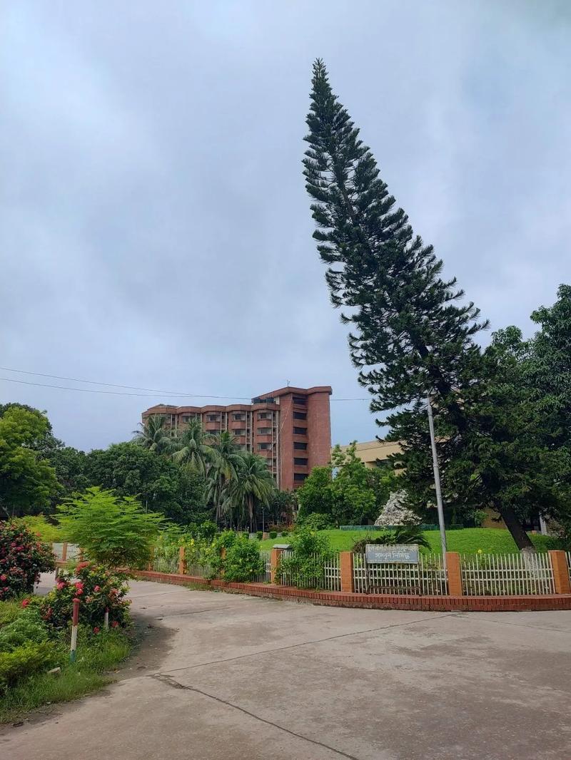 Photo of Institute of Child and Mother Health, Dhaka